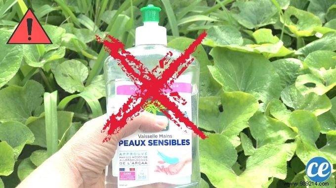 6 Common Dish Soap Mistakes Everyone Makes (And How to Avoid Them)