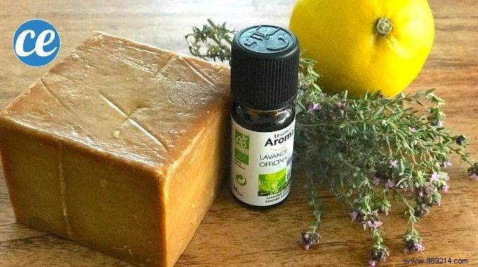 10 Easy Homemade Soap Recipes: Quick, Natural DIYs for Beginners