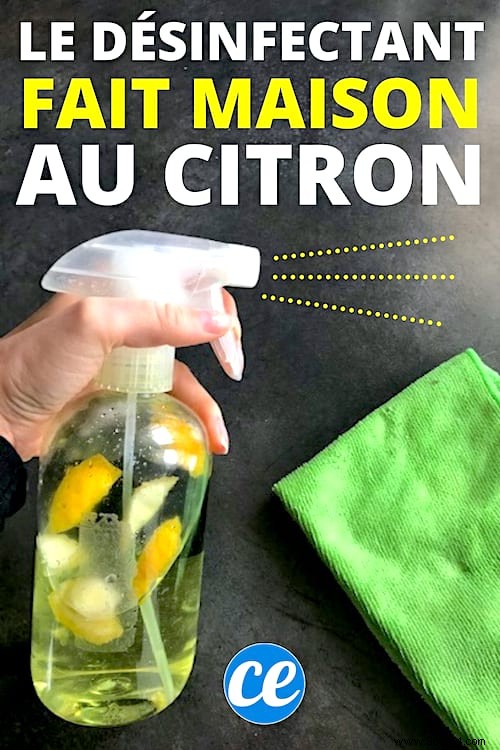 How to Make a Natural Lemon-Vinegar Disinfectant: Proven Protection Against Viruses Like COVID-19