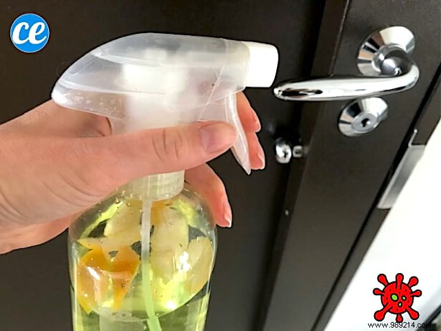 How to Make a Natural Lemon-Vinegar Disinfectant: Proven Protection Against Viruses Like COVID-19