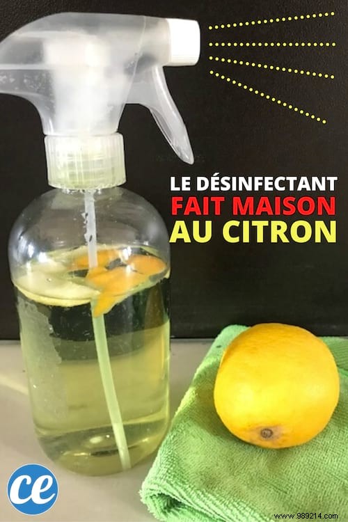 How to Make a Natural Lemon-Vinegar Disinfectant: Proven Protection Against Viruses Like COVID-19