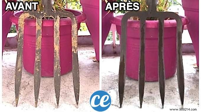 Effortless Rust Removal for Garden Tools: The Proven Vinegar Method