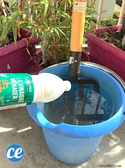Effortless Rust Removal for Garden Tools: The Proven Vinegar Method