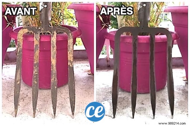 Effortless Rust Removal for Garden Tools: The Proven Vinegar Method