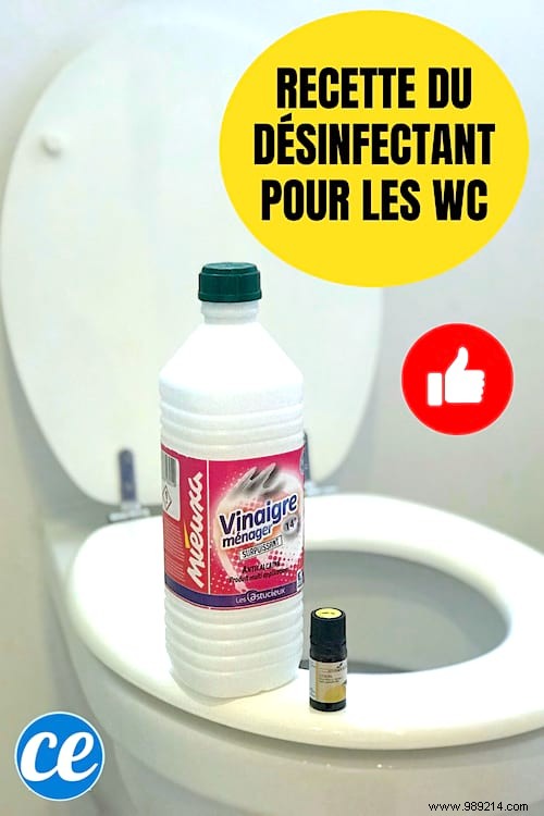 How to Disinfect Toilets Naturally with White Vinegar: Effective Against COVID-19 Germs