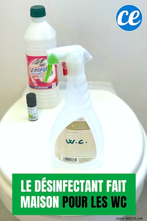 How to Disinfect Toilets Naturally with White Vinegar: Effective Against COVID-19 Germs