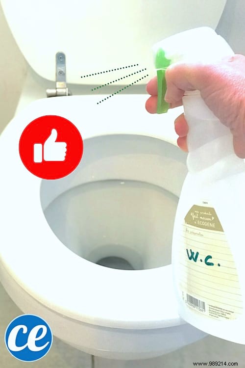 How to Disinfect Toilets Naturally with White Vinegar: Effective Against COVID-19 Germs