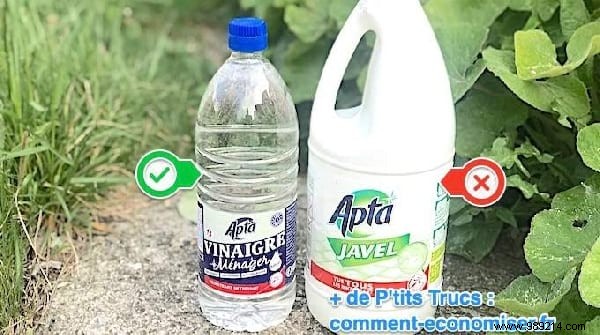 10 Essential Coronavirus Prevention Tips Backed by Health Experts