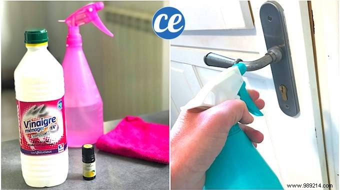 How to Disinfect Door Handles with White Vinegar: Dr. Damien Mascret s Proven COVID-19 Tip