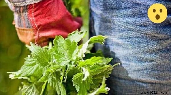 Top 10 Reader-Favorite Tips: Coronavirus Prevention, Lemon Peel Uses & Practical Home Hacks