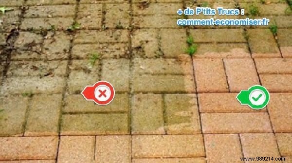 Top 10 Reader-Favorite Tips: Coronavirus Prevention, Lemon Peel Uses & Practical Home Hacks