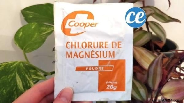 41 Proven Uses of Magnesium Chloride: Natural Remedies for Everyday Health