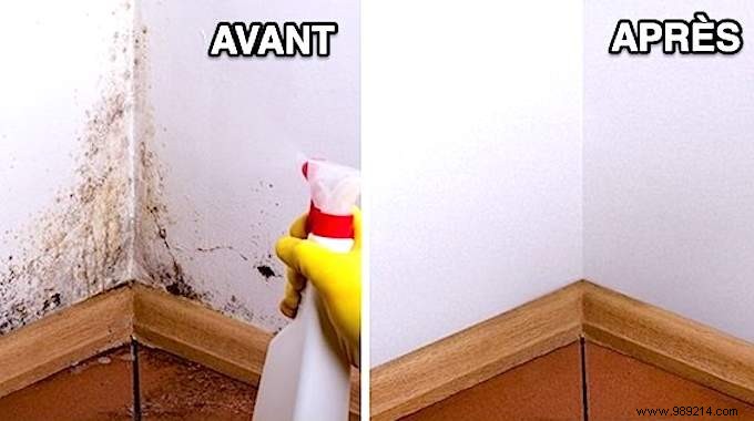 14 Proven Vinegar Hacks for Cleaning, Maintenance, and Home Care