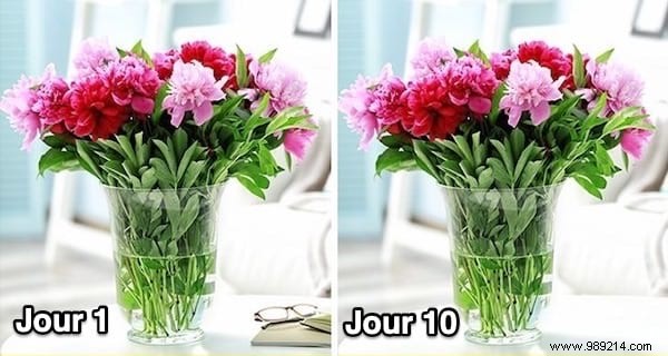 14 Proven Vinegar Hacks for Cleaning, Maintenance, and Home Care