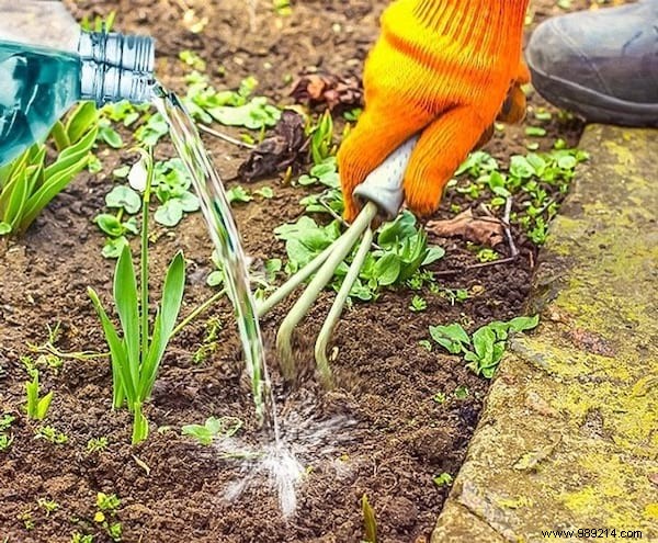 14 Proven Vinegar Hacks for Cleaning, Maintenance, and Home Care