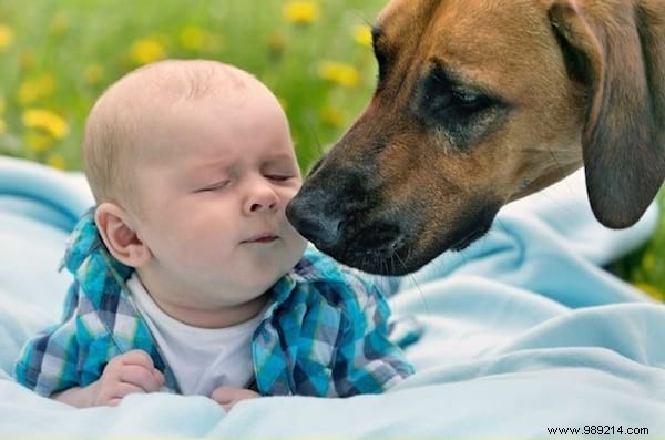 14 Proven Vinegar Hacks for Cleaning, Maintenance, and Home Care