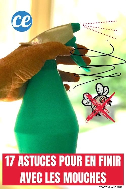 15 Proven Natural Ways to Repel House Flies from Your Home