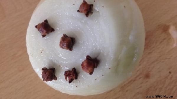 15 Proven Natural Ways to Repel House Flies from Your Home