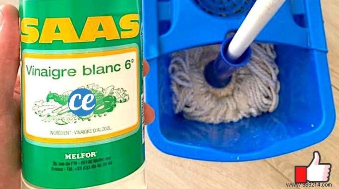 5 Expert White Vinegar Tips for Sparkling Floors Throughout Your Home