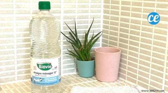 5 Easy Homemade Natural Deodorant Recipes That Really Work