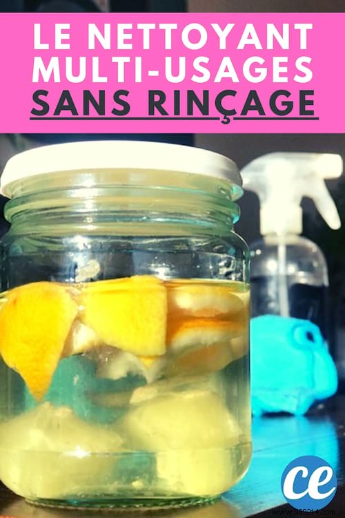 DIY No-Rinse Multi-Purpose Cleanser: Simple Lemon Peel and Vinegar Recipe
