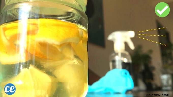 DIY No-Rinse Multi-Purpose Cleanser: Simple Lemon Peel and Vinegar Recipe