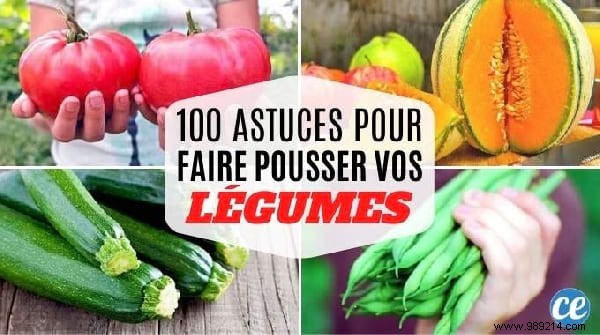 Expert Mask Tips: Prevent Foggy Glasses, Disinfect Cloth Masks & Quick DIY Guide