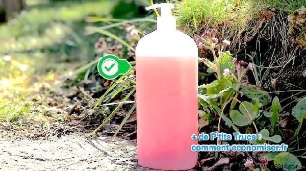 4 Simple Homemade Shower Gel Recipes: Natural, Affordable, and Skin-Nourishing