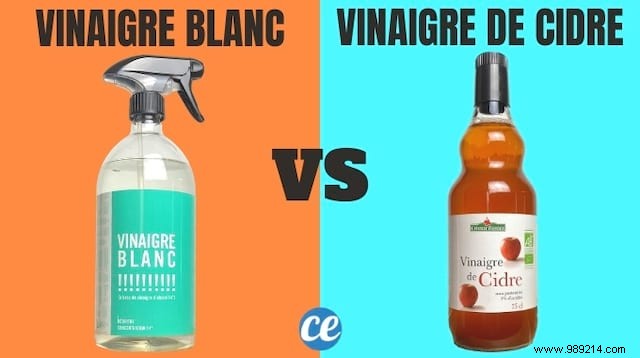 White Vinegar vs. Apple Cider Vinegar: Key Differences, Uses, and Benefits