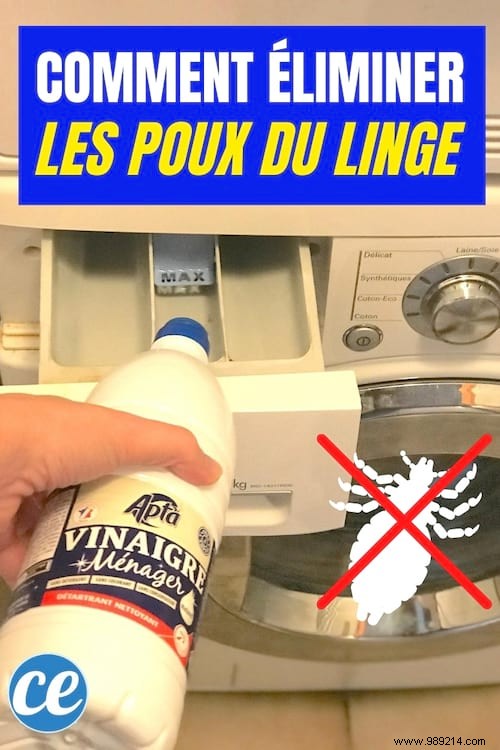 Proven White Vinegar Method to Eliminate Lice from Delicate Laundry at 40°C