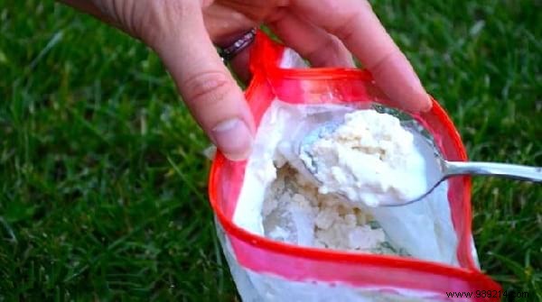 4 Foolproof Homemade Ice Cream Recipes – No Ice Cream Maker or Molds Needed