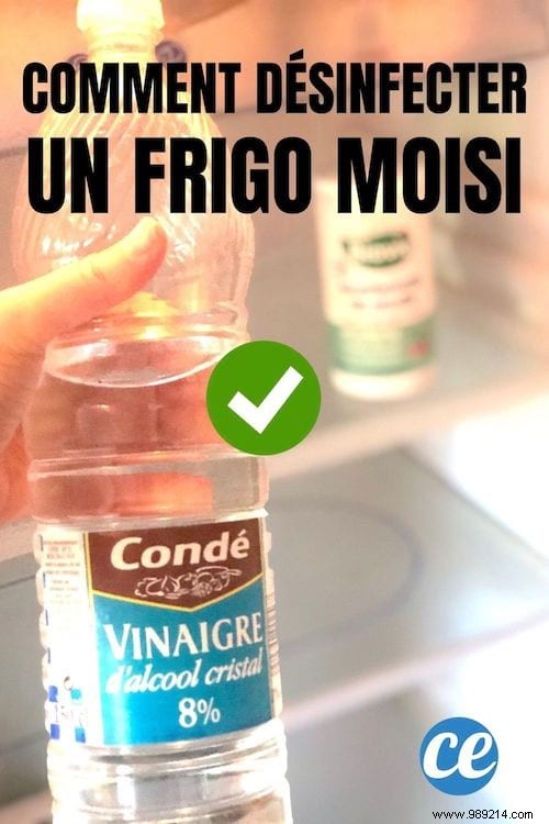 How to Clean a Moldy Fridge Naturally with Vinegar and Baking Soda – No Bleach Needed