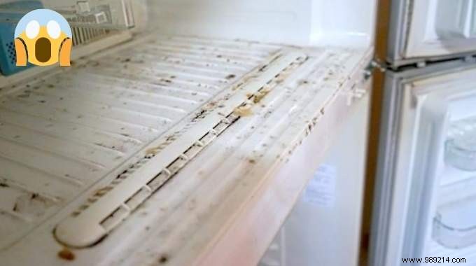 How to Clean a Moldy Fridge Naturally with Vinegar and Baking Soda – No Bleach Needed