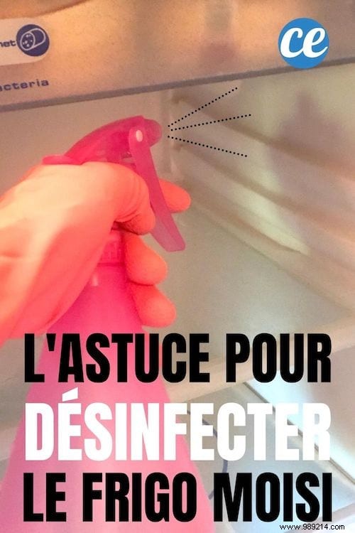 How to Clean a Moldy Fridge Naturally with Vinegar and Baking Soda – No Bleach Needed