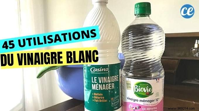 45 Proven White Vinegar Uses for Cleaning, Deodorizing, and Household Hacks