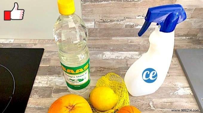 DIY Citrus-Scented All-Purpose Disinfectant Cleaner: Proven Homemade Recipe