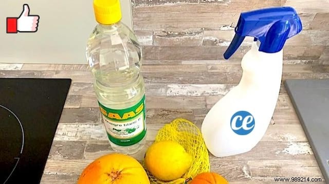 DIY Citrus-Scented All-Purpose Disinfectant Cleaner: Proven Homemade Recipe
