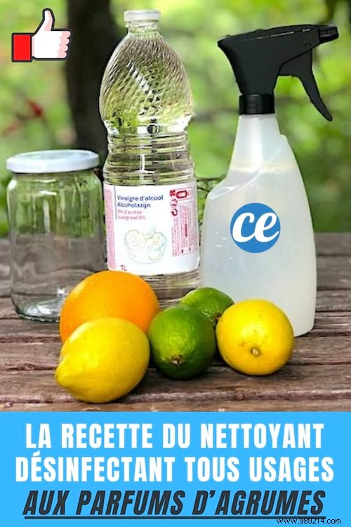 DIY Citrus-Scented All-Purpose Disinfectant Cleaner: Proven Homemade Recipe