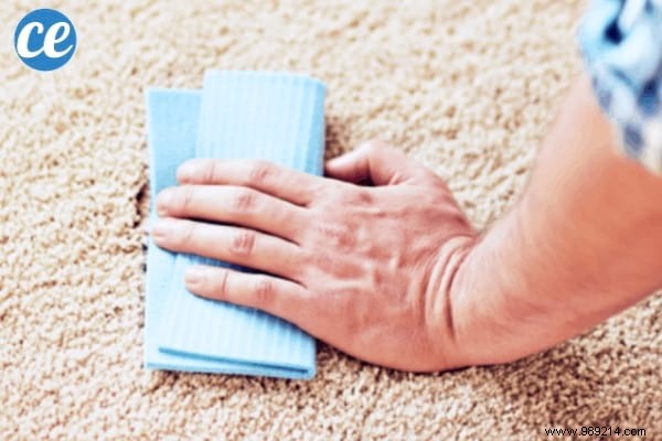 48 Proven Natural Cleaning Tips for a Spotless Home