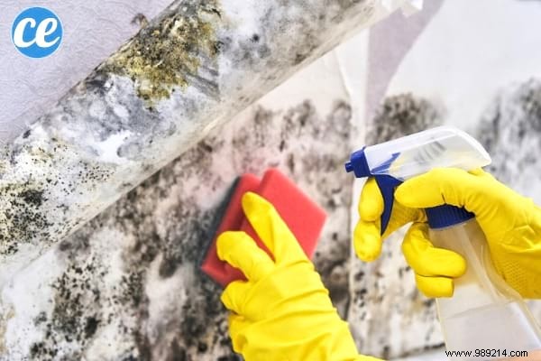 48 Proven Natural Cleaning Tips for a Spotless Home