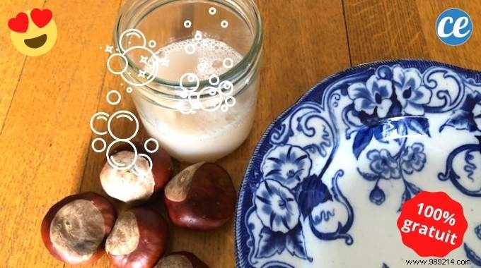 DIY Chestnut Dish Soap: 100% Free, Natural Super Degreaser Recipe