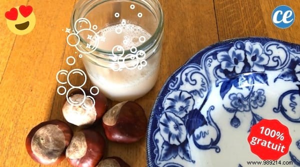 DIY Chestnut Dish Soap: 100% Free, Natural Super Degreaser Recipe