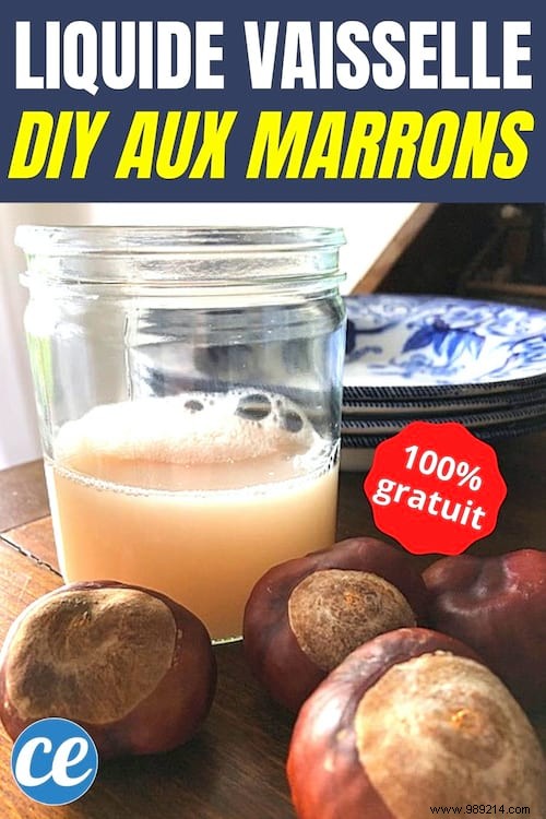 DIY Chestnut Dish Soap: 100% Free, Natural Super Degreaser Recipe
