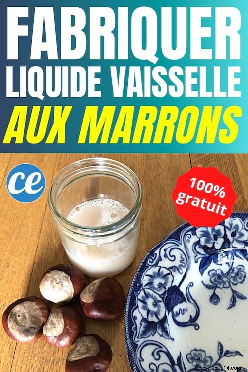 DIY Chestnut Dish Soap: 100% Free, Natural Super Degreaser Recipe