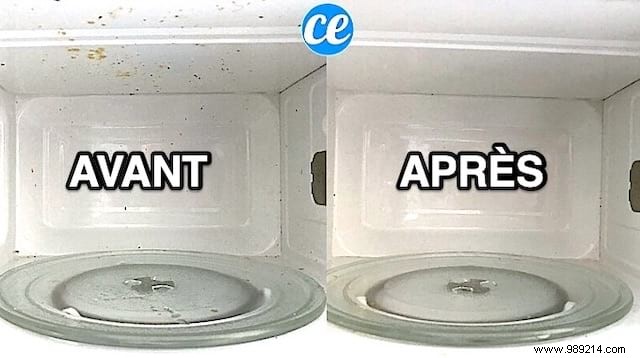 Effortless Microwave Cleaning Hack: Steam a Soapy Sponge for Spotless Results