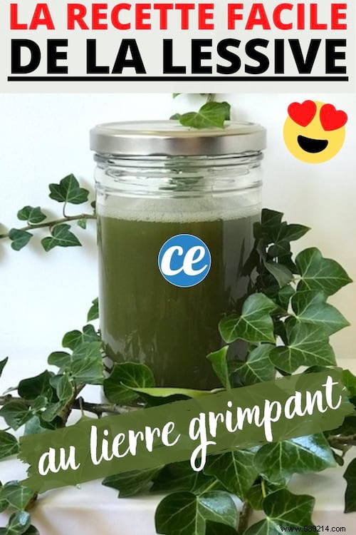 Grandma s Proven Ivy Leaf Laundry Detergent: Free, Natural, and Effective