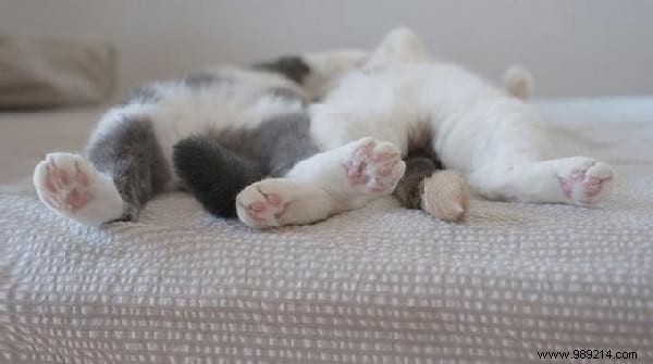 Struggling to Sleep? 10 Proven Natural Tips to Drift Off Fast and Sleep Like a Baby