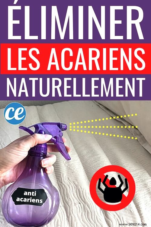 Natural 70% Alcohol Spray: Proven Way to Eliminate Dust Mites from Your Mattress