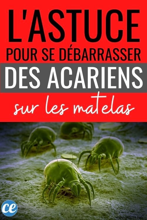 Natural 70% Alcohol Spray: Proven Way to Eliminate Dust Mites from Your Mattress