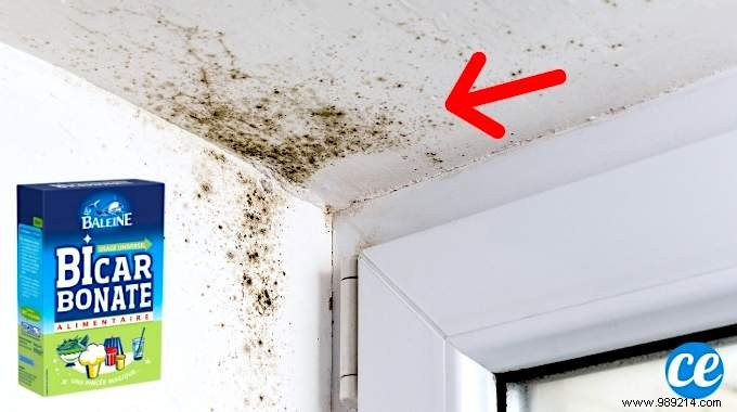 3 Proven Baking Soda Hacks to Eliminate Stubborn Mold Stains